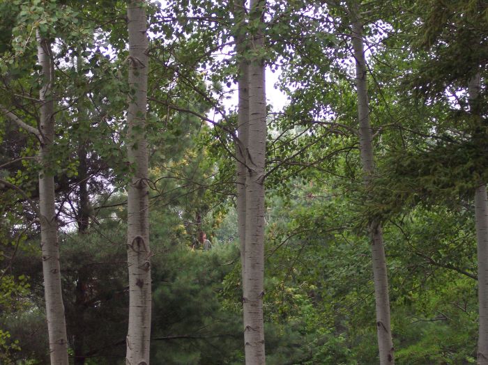 This image has been resized