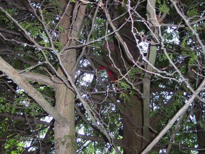 This image has been resized