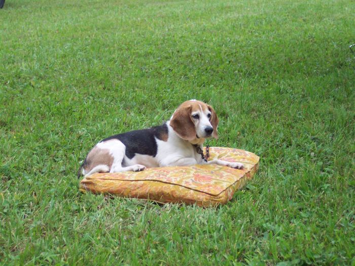 This image has been resized