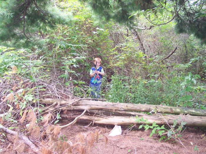 This image has been resized