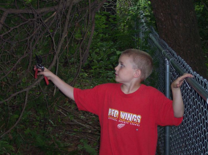 This image has been resized