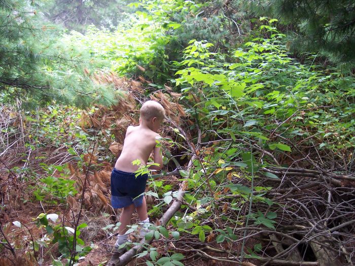 This image has been resized