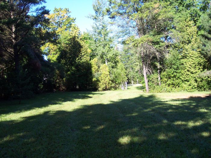 This image has been resized