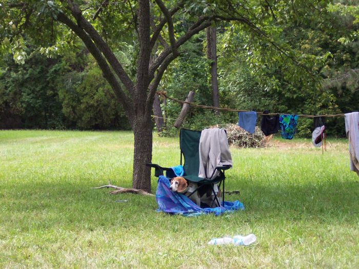 This image has been resized