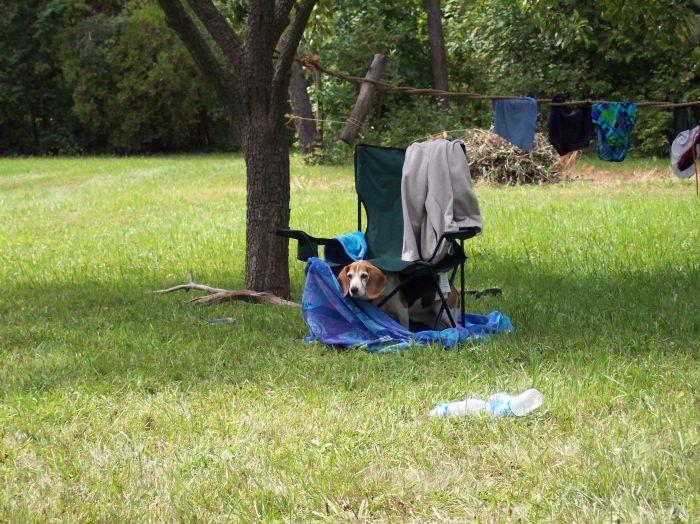 This image has been resized