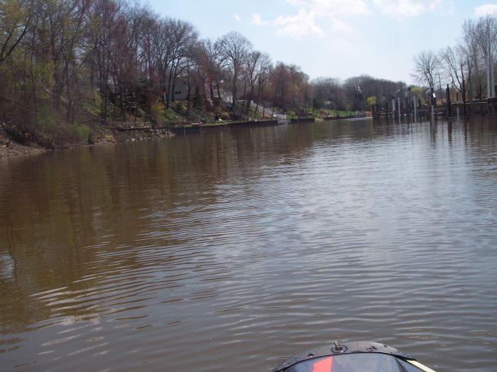 This image has been resized