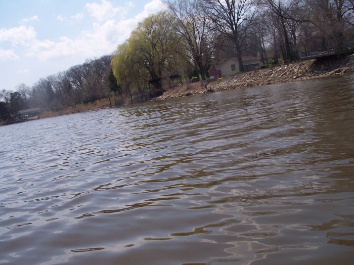 This image has been resized