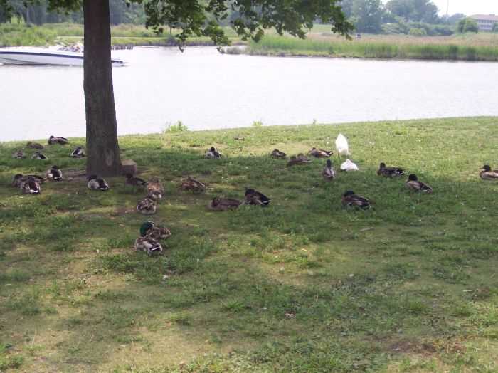 This image has been resized