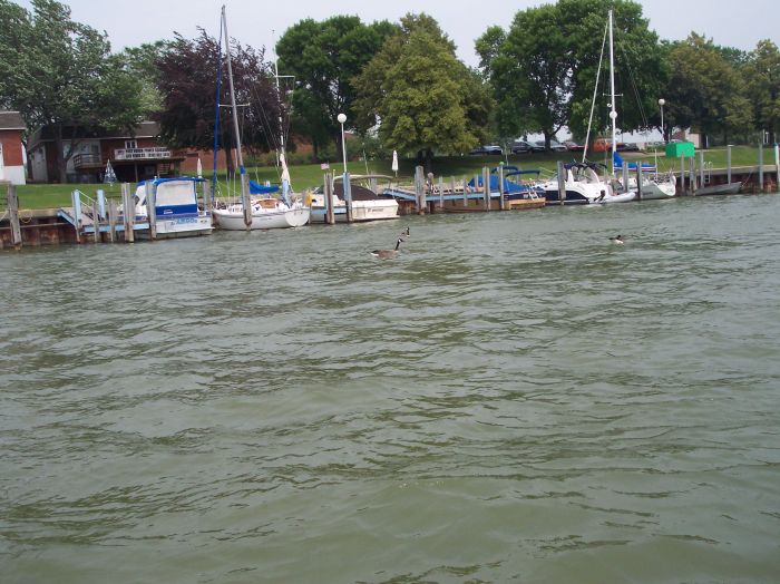 This image has been resized