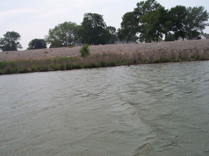 This image has been resized