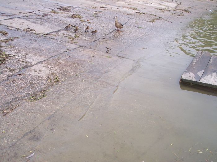 This image has been resized