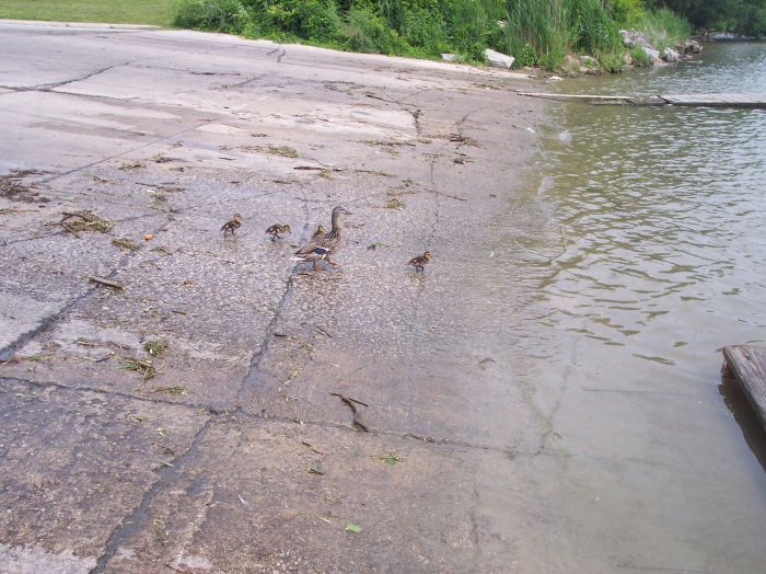 This image has been resized