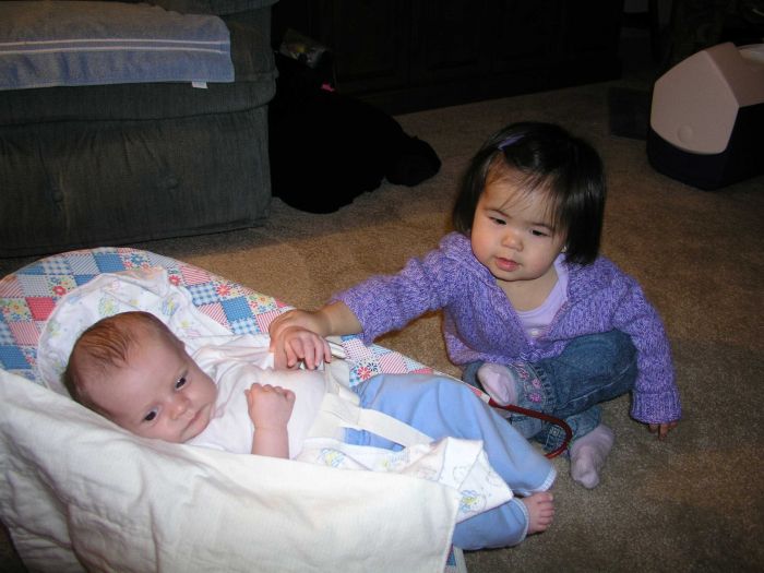 This image has been resized